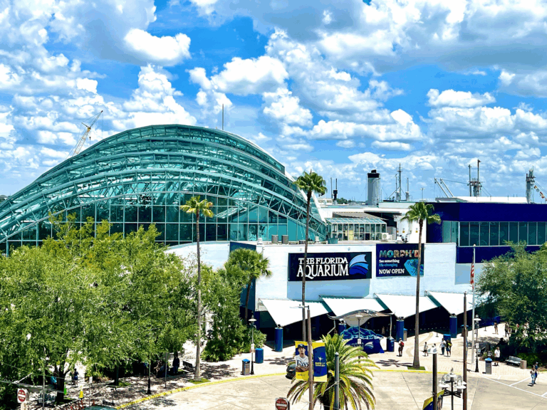 The Florida Aquarium gallery image Zoos & Aquariums