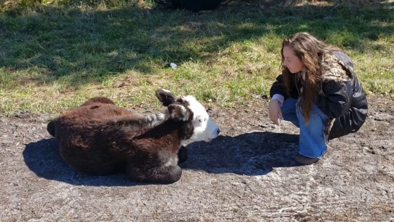 Raprager Family Farms
