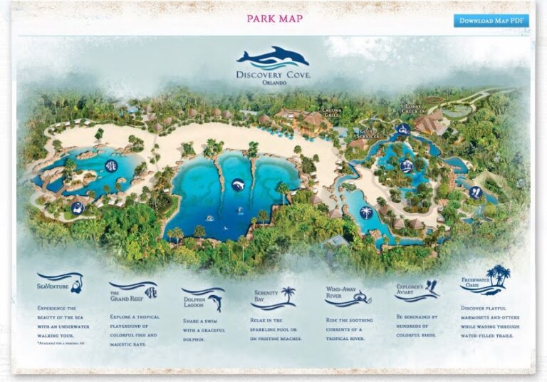 Discovery Cove gallery image Zoos & Aquariums