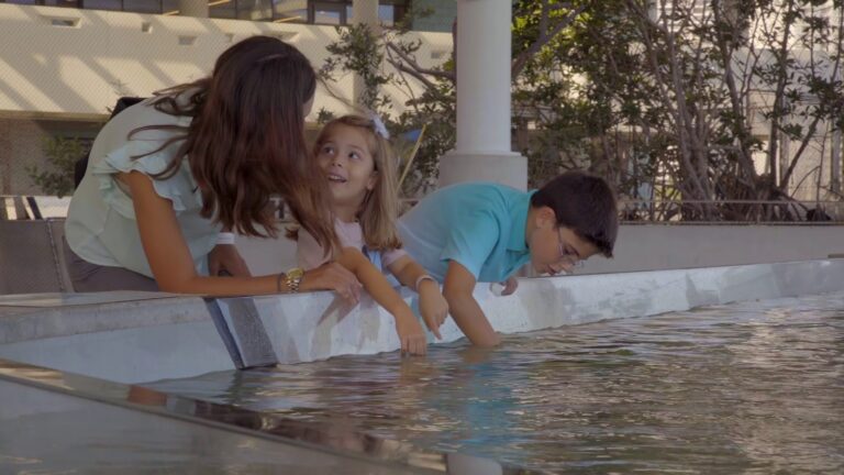 Phillip & Patricia Frost Museum of Science