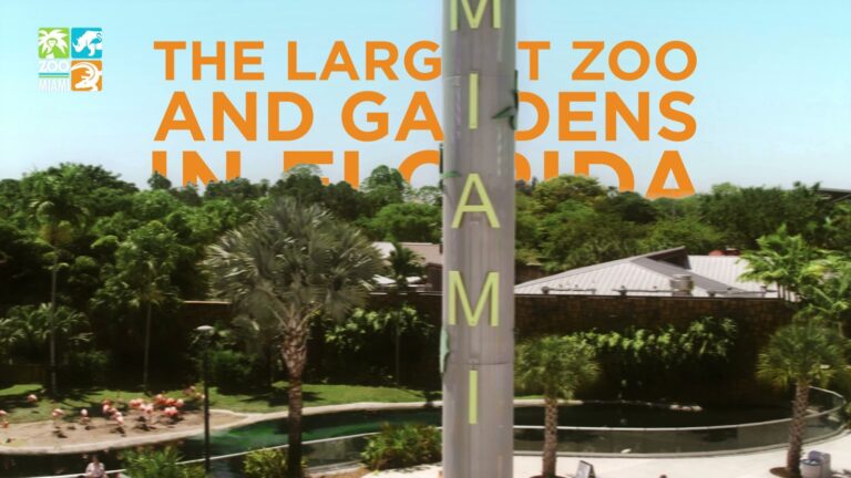 Zoo Miami