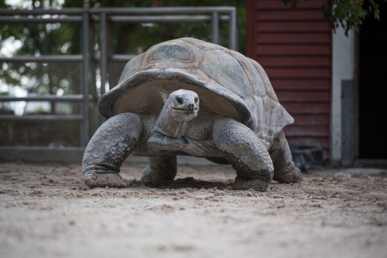 Jungle Island gallery image Zoos & Aquariums