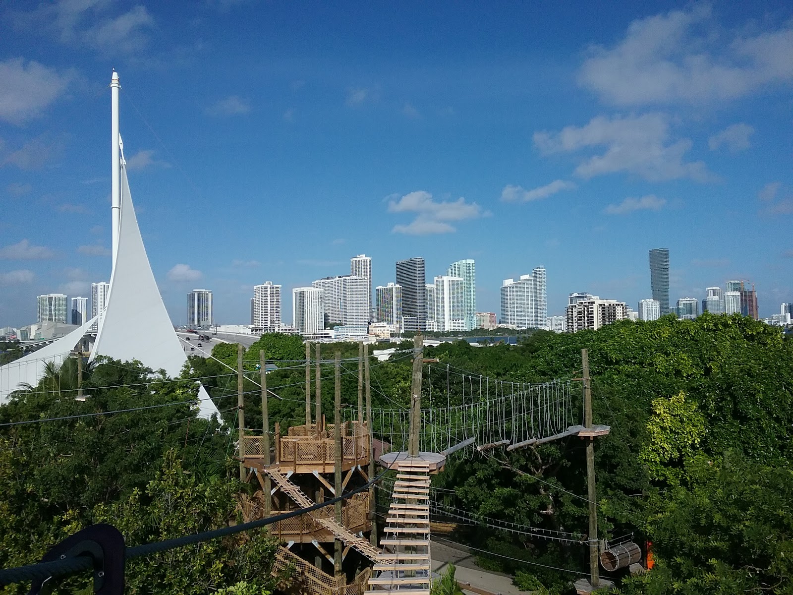 Treetop Trekking Miami