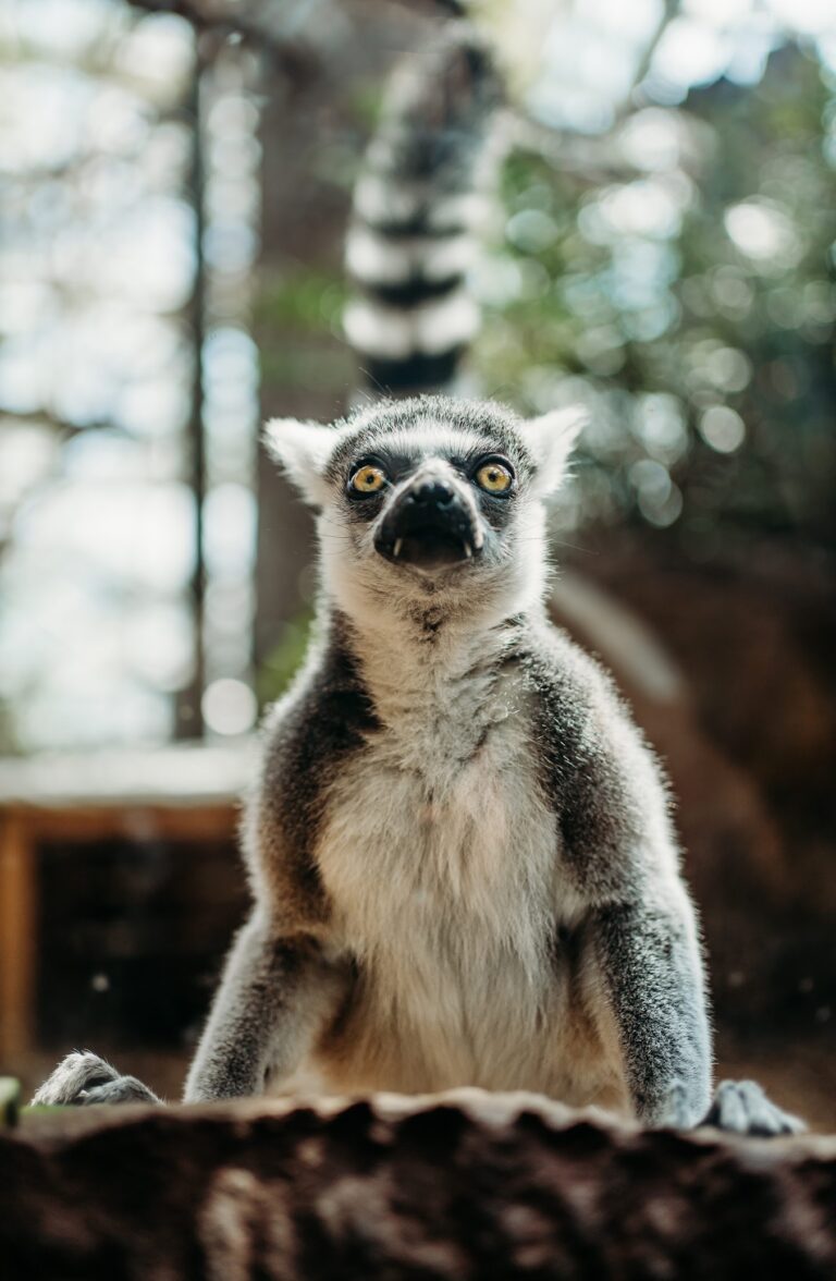 The Florida Aquarium