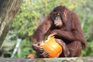 ZooTampa at Lowry Park