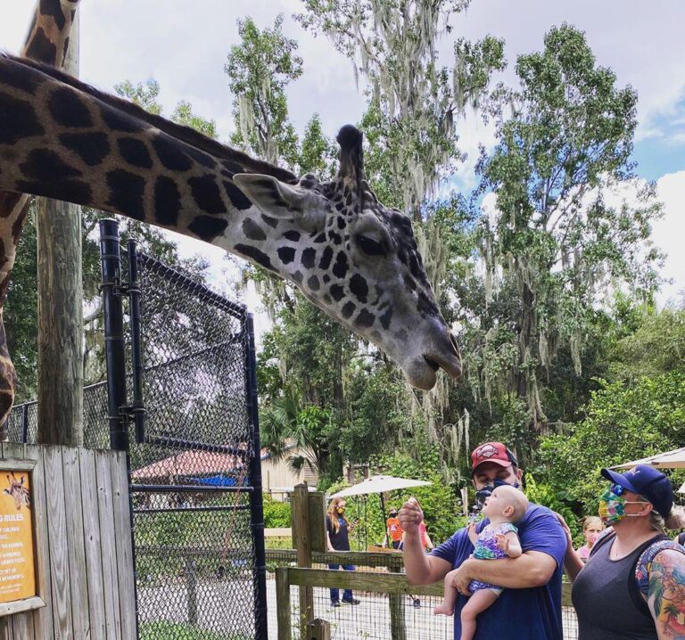 Central Florida Zoo & Botanical Gardens gallery image Zoos & Aquariums