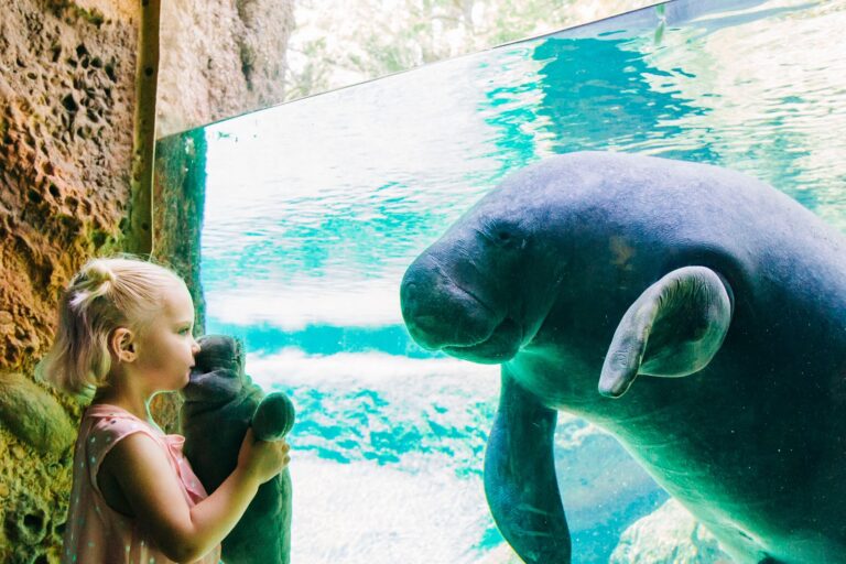 ZooTampa at Lowry Park