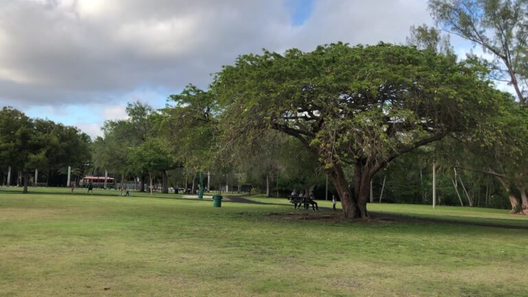 David T. Kennedy Park