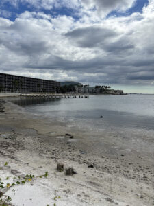 East Tampa Beach