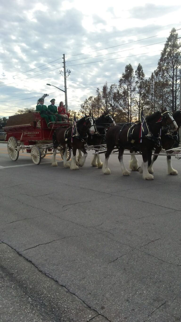 Orlando Sports Campus gallery image Indoor Sports