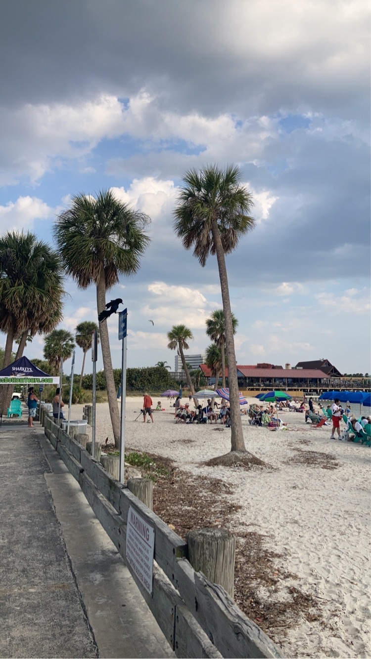 Ben T Davis Beach gallery image Beaches & Pools