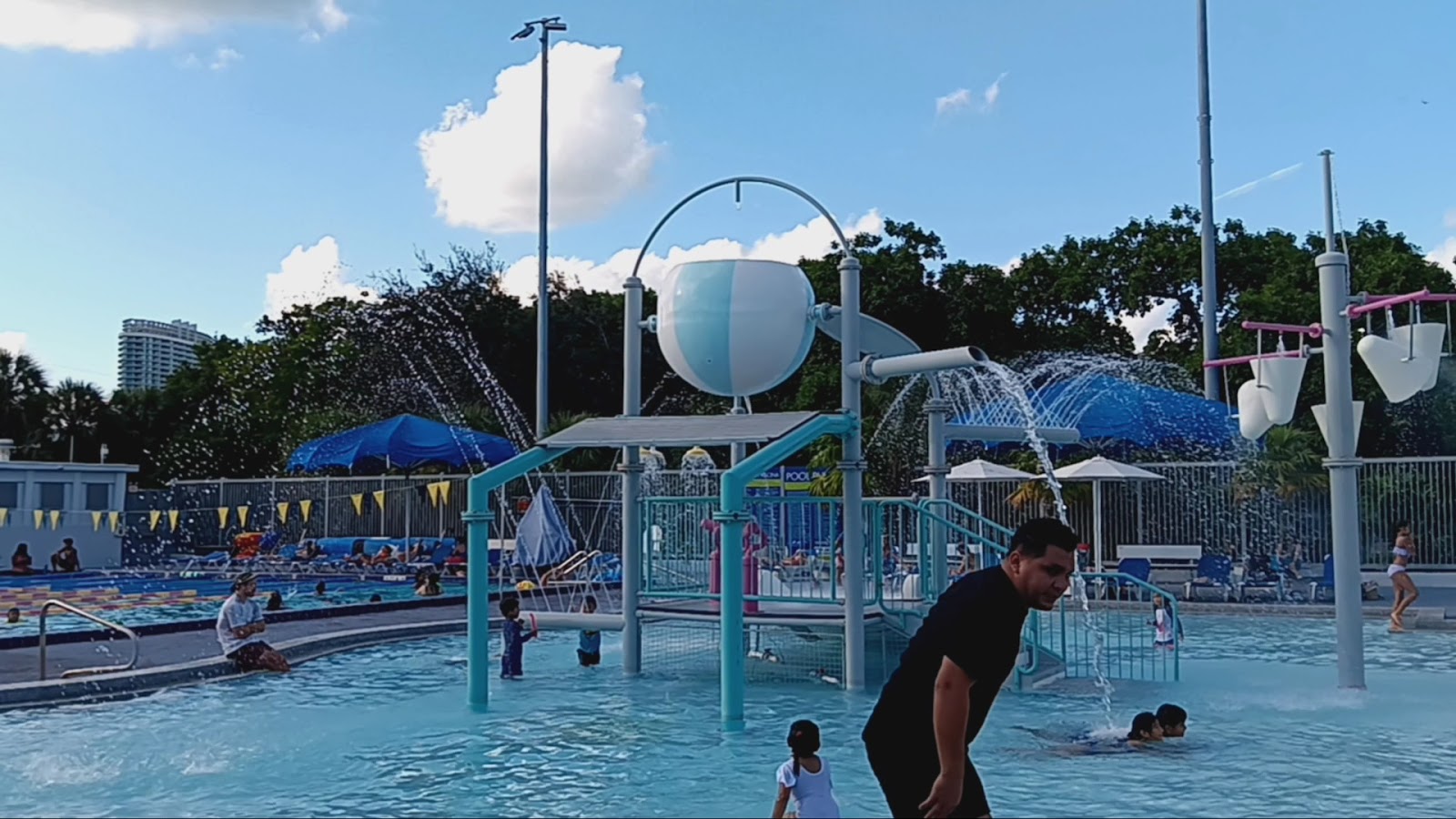 Flamingo Park Pool