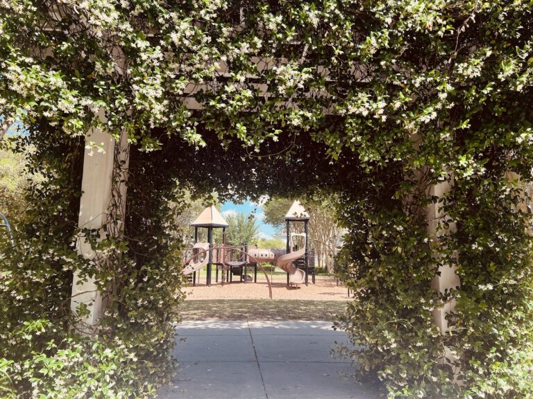 Union Park Playground