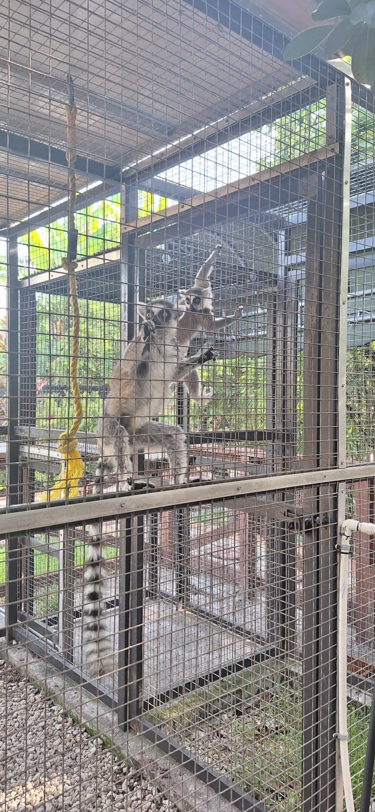 Ebenezer Family Farm gallery image Farms & Petting Zoos