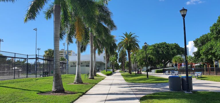 Flamingo Park Pool gallery image Beaches & Pools